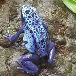 Meet your Posher, Scott